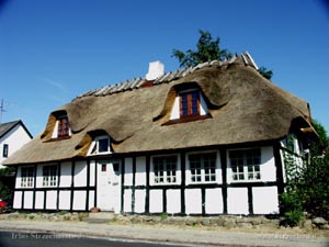 strzecha, dach trzcinowy na małym, wiejskim domku