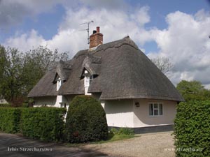 strzecha, dach ze słomy na wiejskim domu w Anglii