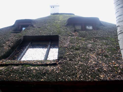 Strzecha, dach z trzciny: dach od strony północnej przed serwisem