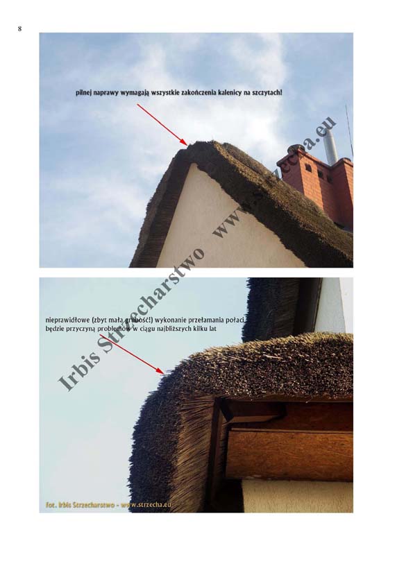 Strzecha, dach trzcinowy: przykładowa opinia techniczna str.8