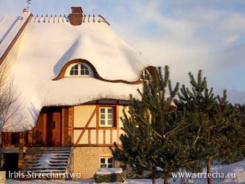 Strzecha, dach trzcinowy: dach w śniegu wykonanie firma Irbis