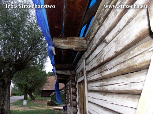 Zabytkowa chata drewniana, wykonana w technologii wieńcowo-zrembowej, na jaskółczy ogon z ostatkami