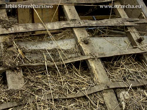 Dębowa konstrukcja dachu siedziby angielskiego wielmnoży, sprzed 300 lat, która była montowana z użyciem drewnianych ćwieków