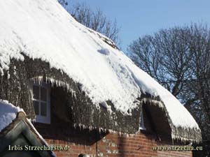 Trzcinowe pokrycia dachów na zabytkowych budynkach Wildshire